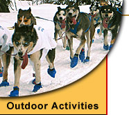 alaska dog mushing tours dog sled tours