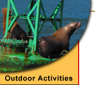 alaska wildlife viewing tours