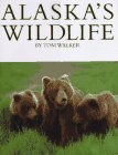 alaska wildlife viewing tours