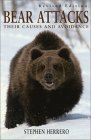 alaska bear viewing tours